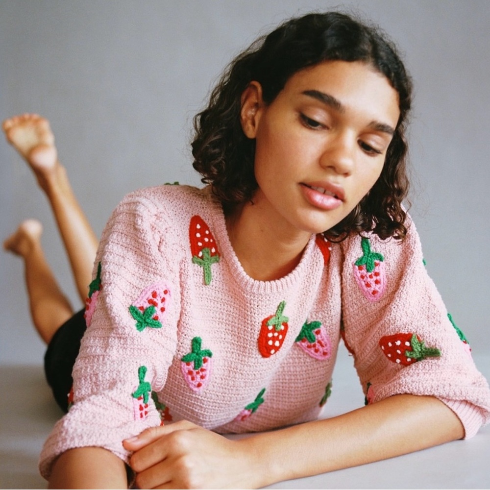 NWT Zara strawberry sweater